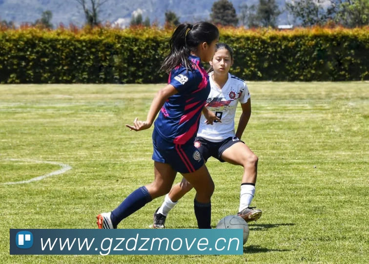 巅峰国际app注册登录APP 封面图